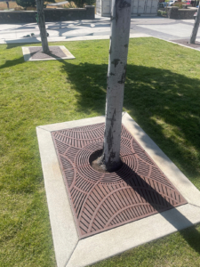 Cast iron tree grate in decorative Arizona pattern from Iron Age Designs