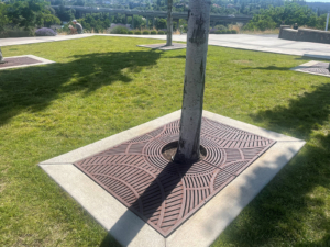 Cast iron tree grate in decorative Arizona pattern from Iron Age Designs