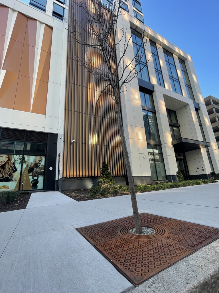 Cast iron tree grate in decorative Interlaken pattern from Iron Age Designs, in front of modern apartment building.