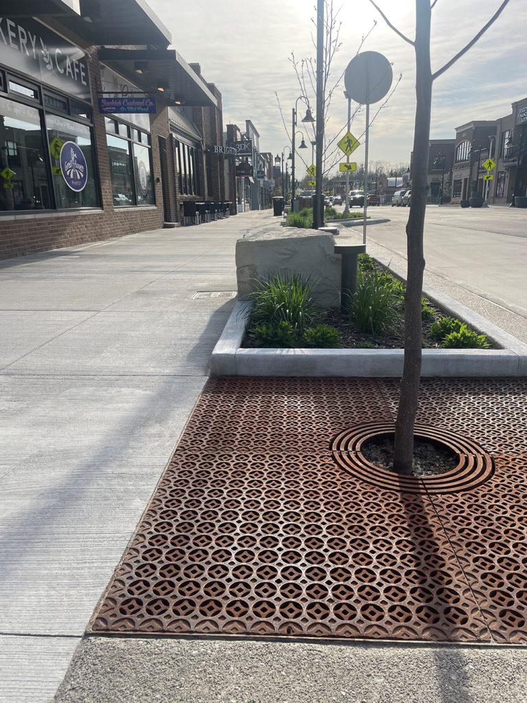Raw cast iron tree grate in decorative Interlaken pattern from Iron Age Designs. Streetscape installation.