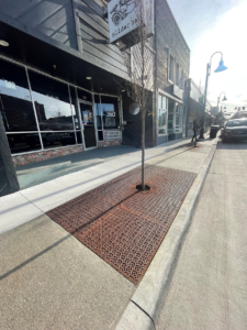 Raw cast iron tree grate in decorative Interlaken pattern from Iron Age Designs. Streetscape installation.