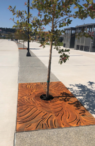 Kelp 4' x 6' tree grate