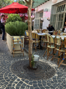 Cast iron tree grate in decorative Kelp pattern from Iron Age Designs. Located in outdoor restaurant courtyard.