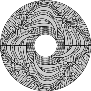 Drawing of decorative tree grate in Kelp pattern