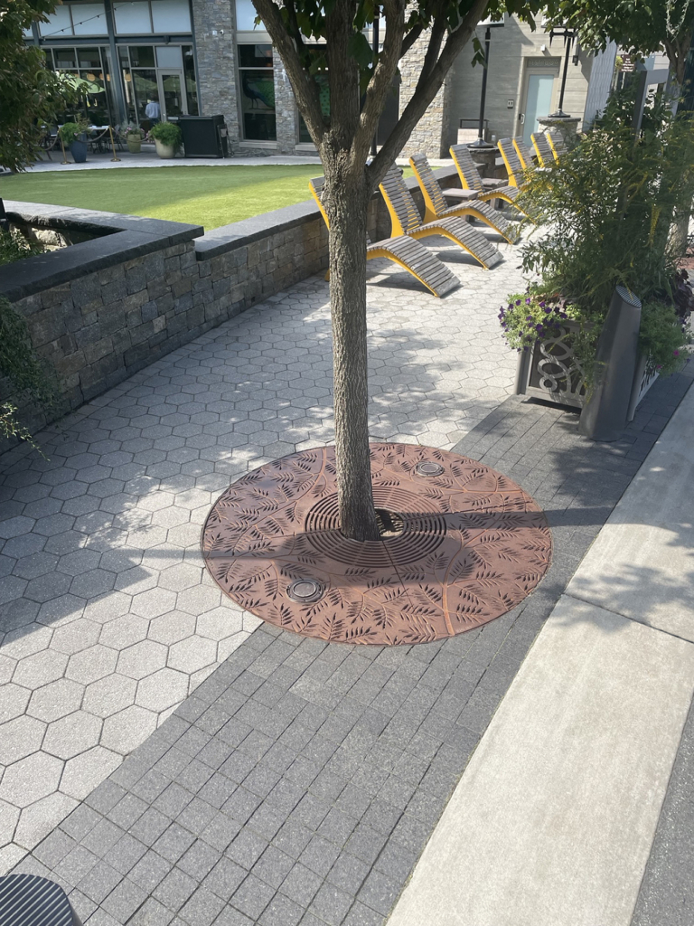 Cast iron 6' dia. tree grate with decorative Locust leaf pattern