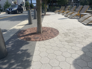 Cast iron 6' dia. tree grate with decorative Locust leaf pattern