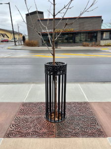 Decorative cast iron tree grate and powder coated tree guard in matching Minnione pattern