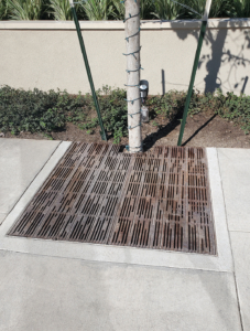 Decorative cast iron catch basin grate in Rain pattern, arrayed as a partial tree grate