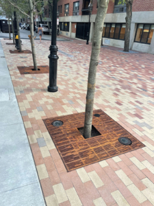 Cast iron tree grate with light hole cut-outs in linear Rain pattern, set in plaza of multicolored pavers