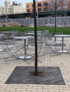 Decorative cast iron tree grates in Rain pattern installed in paver courtyard park