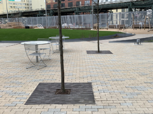 Decorative cast iron tree grates in Rain pattern installed in paver courtyard park