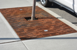 Rain 4' x 8' heel proof tree grate