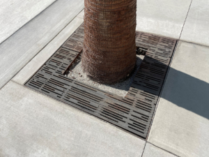 Decorative cast iron tree grate with Rain pattern