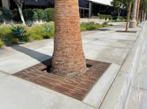 Decorative cast iron tree grate with Rain pattern