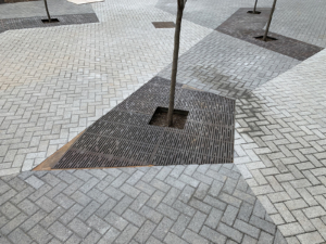 Decorative cast iron tree grate with Rain pattern