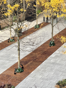 Large tree grate arrays of decorative Rain grates by Iron Age Designs