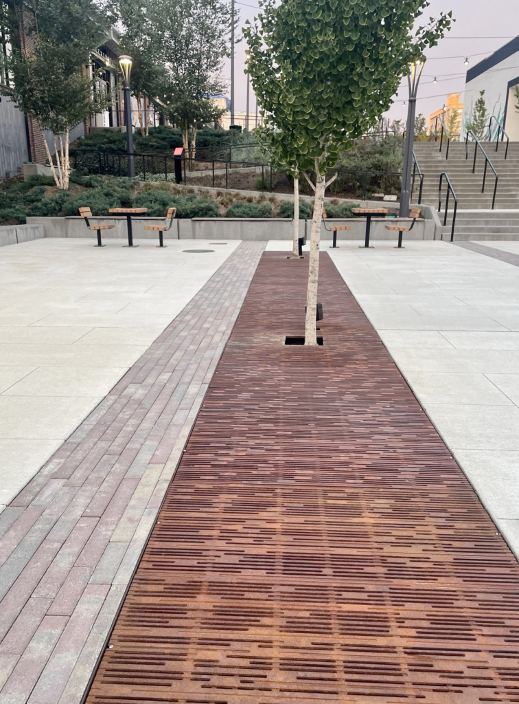 Large cast iron tree grate array in decorative Rain pattern