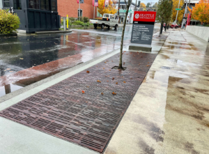 Decorative cast iron tree grate with Rain pattern