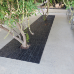 Decorative cast iron tree grate with Rain pattern