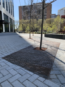 Decorative cast iron tree grate with Rain pattern