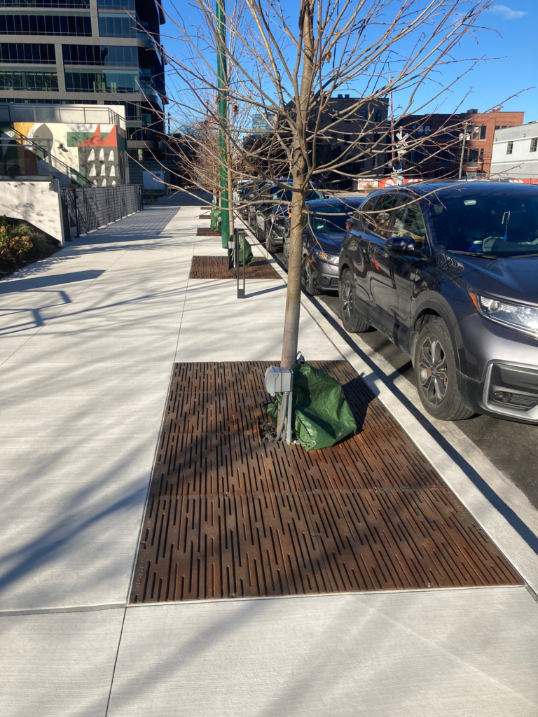 Cast iron tree grate in decorative Rain pattern by Iron Age Designs. Grates customized with "City of Chicago" branding.