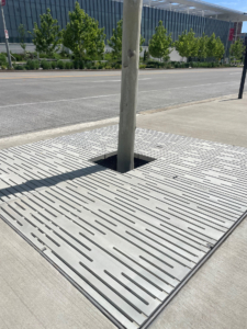 Raw cast aluminum tree grate in decorative Rain pattern from Iron Age Designs. Streetscape installation.