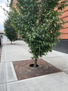 Decorative cast iron tree grate with concentric circular 'Spin' design