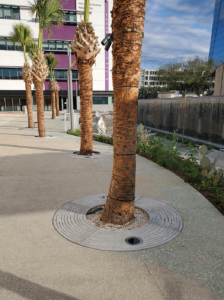 Decorative cast aluminum tree grate with concentric circular 'Spin' design