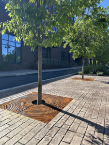 Cast iron tree grate in decorative Spin pattern from Iron Age Designs. Streetscape installation.