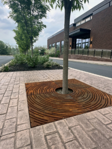 Cast iron tree grate in decorative Spin pattern from Iron Age Designs. Streetscape installation.