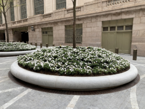 Decorative cast bronze radius trench grates in Que pattern surrounding circular planter