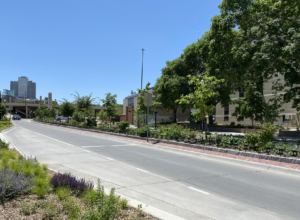 Decorative planter in road median on college campus, surrounded by custom cast iron planter fence.