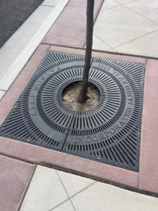 Custom cast iron tree grate, by Iron Age Designs for Payson, UT.