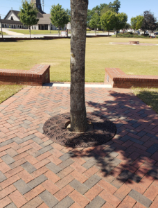 Cast iron tree grate in Oblio pattern which suggests circular ripples on water