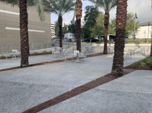 Laser cut corten steel large array tree grates with decorative Rain pattern, protecting palm trees in paved hospital courtyard