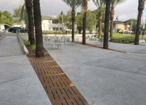 Laser cut corten steel large array tree grates with decorative Rain pattern, protecting palm trees in paved hospital courtyard