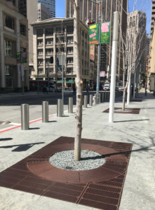 Decorative custom cast iron tree grate on San Francisco sidewalk