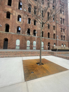 Cast iron tree grate in rectilinear Que pattern installed in front of Domino Sugar Factory building