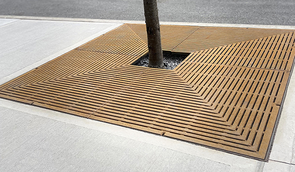 Cast iron tree grate in rectilinear Que pattern