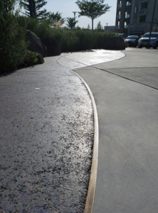 Cast bronze angle embedded to separate two styles of decorative concrete
