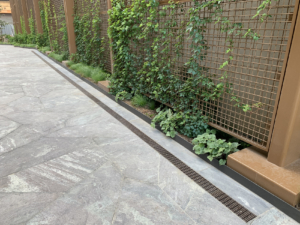 Decorative cast iron trench grate in Plex pattern in front of living green wall