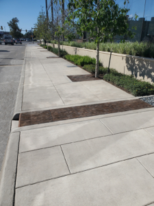 Curb Inlet with decorative grates covering runnel across sidewalk to bioswale on other side.