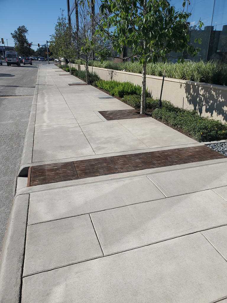 Curb Inlet with decorative grates covering runnel across sidewalk to bioswale on other side.