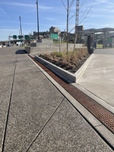 Cast iron trench grate with rounded edge holes in a grid pattern.