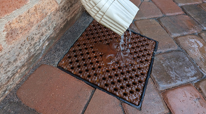 Cast iron drain grate with decorative fleur-de-lis pattern