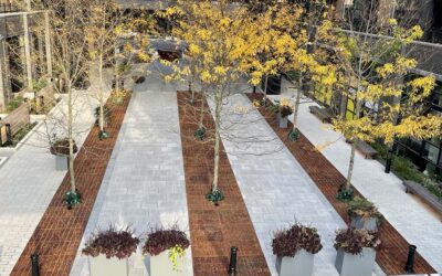 8 Benefits of Large Tree Grate Arrays