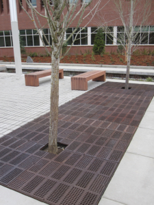 Cast iron grate panel in decorative Explora pattern by Iron Age Designs, Arrayed as a large tree grate.