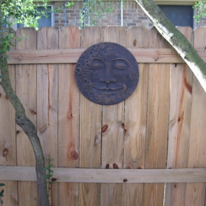 Moon Face on Fence WO E