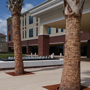 PHOTO CREDIT: Kathleen Armstrong PRODUCT: 3' Sq. Sonoma Tree Grate, raw cast iron  PROJECT: Oviedo Medical Center   LOCATION: Oviedo, FL