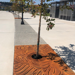 Kelp 4' x 6' tree grate